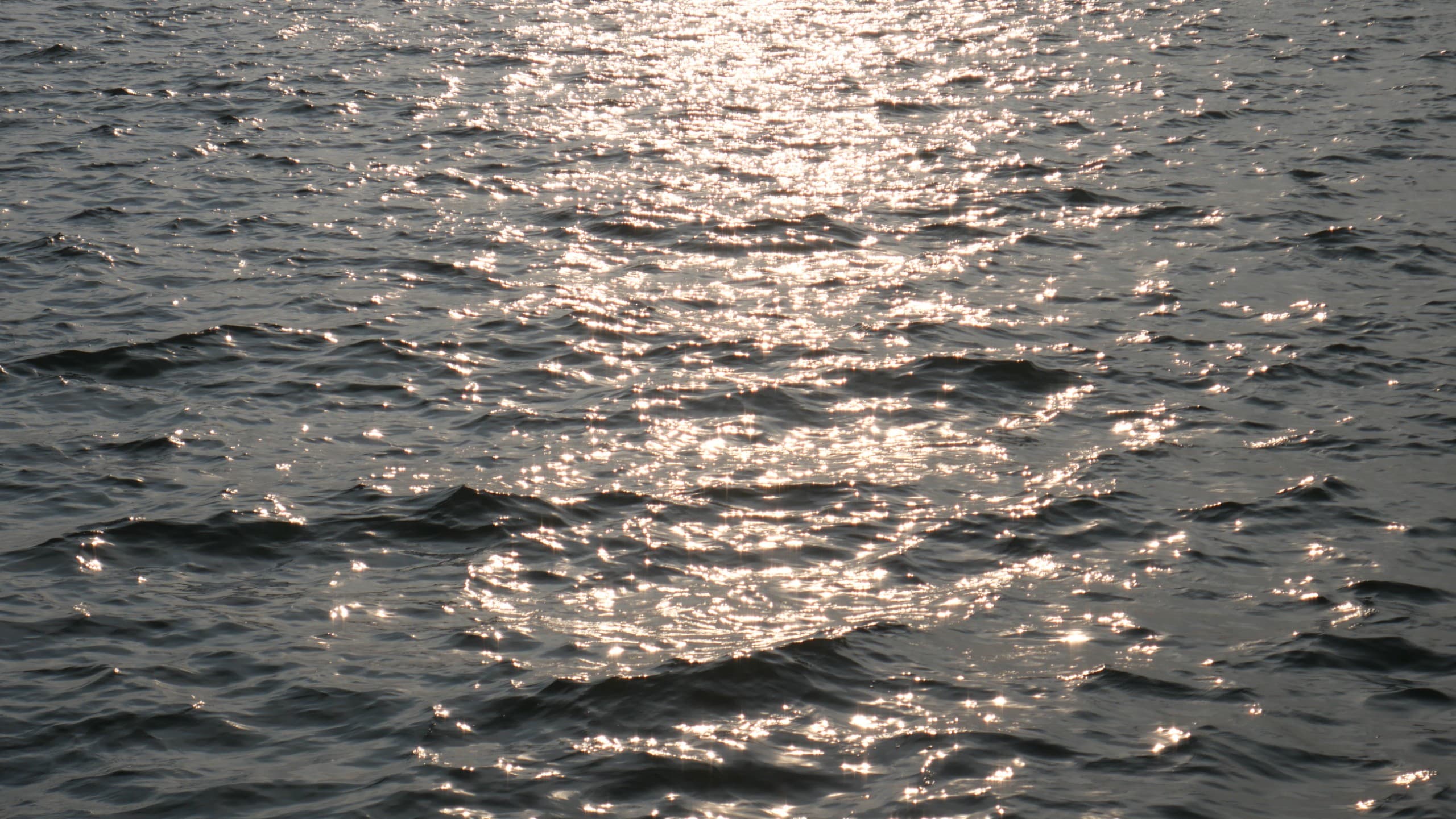 COSTA DIADEMA