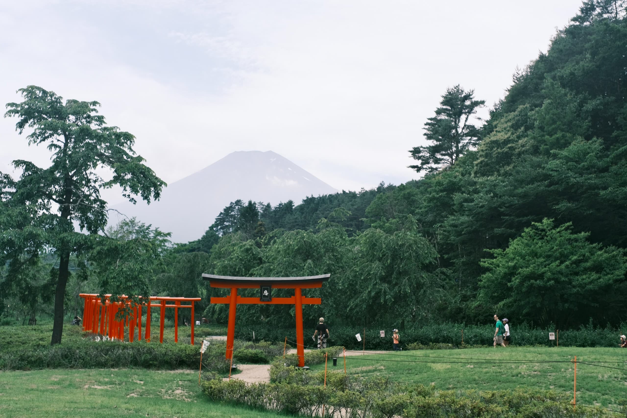 SUEÑOS DE CHINA Y JAPON