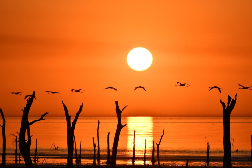 MIRAMAR DE ANSENUZA